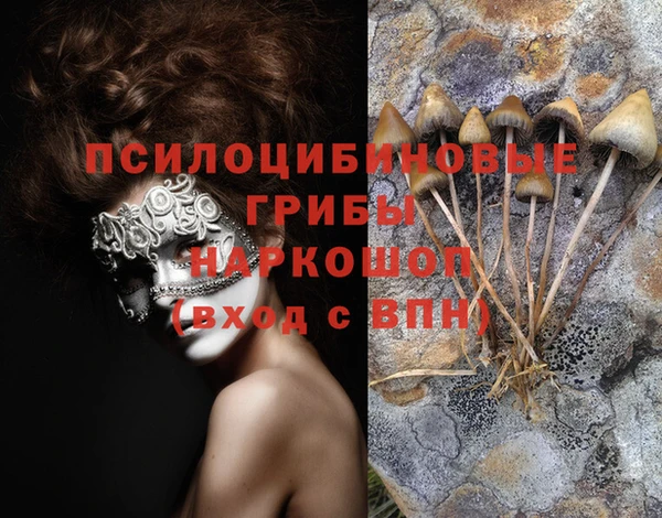 прущие грибы Богородицк