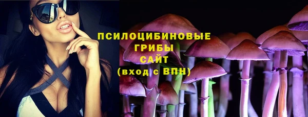 мдпв Беломорск