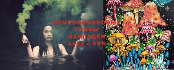 бутират Богородск