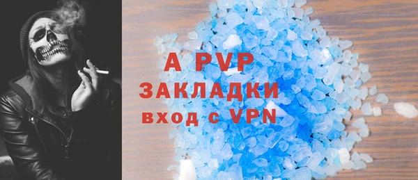 прущие грибы Богородицк