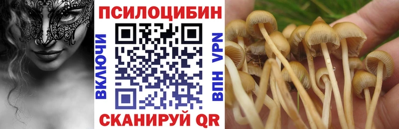 цены наркотик  Мелеуз  Псилоцибиновые грибы MAGIC MUSHROOMS 